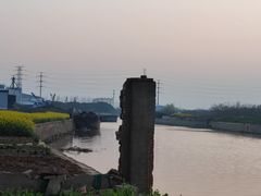 -皇粮浜湿地公园