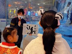 -帝企鹅自助餐厅•儿童岛•真企鹅(长隆企鹅酒店)