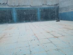 -新疆天山野生动物园