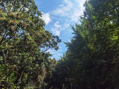 -成都老君山