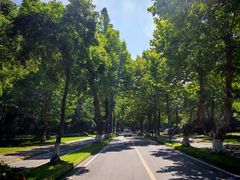 -四川大学(望江校区)