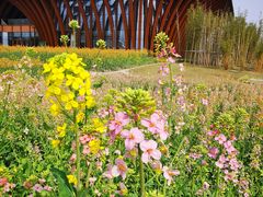 -中国天府农业博览园