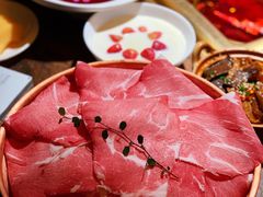 -九鼎轩脆毛肚火锅(三钢里店)