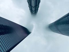 -上海柏悦酒店