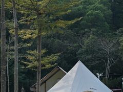 -云栖山谷野奢营地
