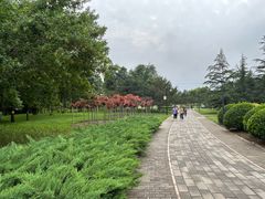 -北坞公园