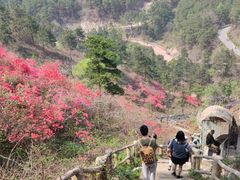 -木兰云雾山