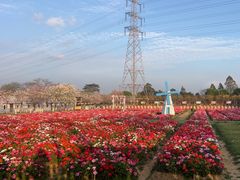 -盈香心动乐园
