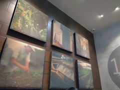 -星巴克(深圳龙岗摩尔城店)