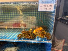 -渔满仓海鲜渔家(象山二店)
