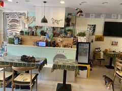 -平行世界·猫咖(首经贸店)