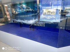 -上海海洋大学鱼文化博物馆(军工路校区)