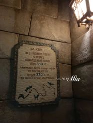 点击看大图 -翱翔飞越地平线