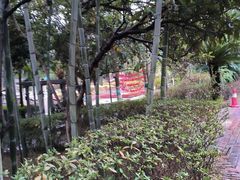 -故乡缘·香格里拉山庄(冷竹路店)
