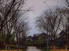 -丝绸小镇荻港古村