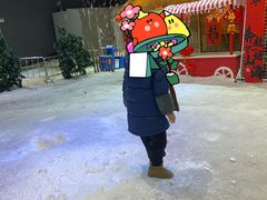 -宁波冰雪大世界(北仑区)