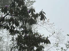 -九峰山