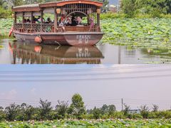 -江门古劳水乡旅游区