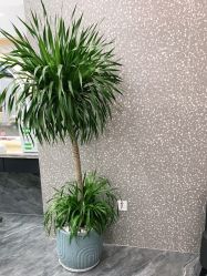 点击看大图 -七分屋LA·烫发·染发·剪发