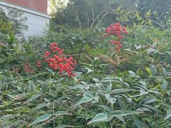 -上海交通大学(闵行校区)