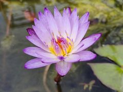 -杭州植物园