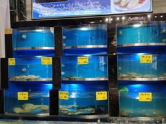 水产区-射阳海鲜城(盐城店)