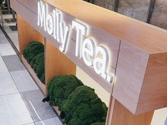 -茉莉奶白(广州动漫星城店)