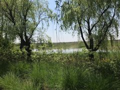 -同里国家湿地公园