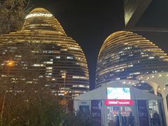 -锦尚阁烤鱼(望京新荟城店)