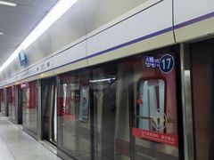 -望京西(地铁站)