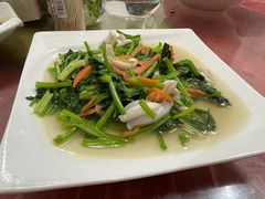 -品雅轩农家乐