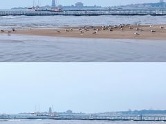 -蓬莱阁景区