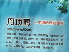 -广州长隆飞鸟乐园