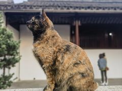-西园戒幢律寺
