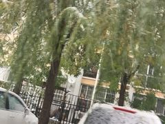 -北京动物园