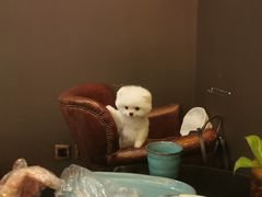 -BOCATA 西班牙餐厅(三里屯店)