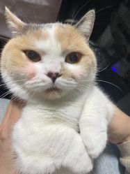 -长沙雅美医疗美容医院