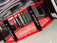 -金吉鸟健身游泳