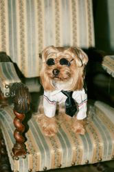 -WAVE SODA摄影工作室