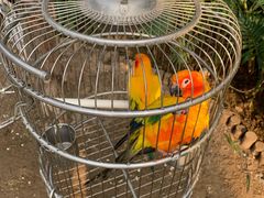 -南宫五洲植物乐园