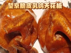 -炆艺乳鸽·煲仔饭大排档(望京来广营店)