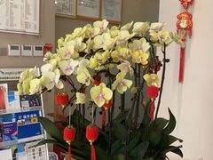 -土豆口腔(凤凰北总店)