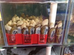 iphone_upload_pic-蚝专家(北滘店)