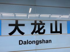 -大龙山(地铁站)