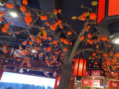 -鸽子窝(青塔店)