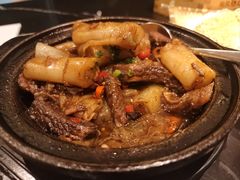 牛腩啫猪肠粉-龙凤点心饼家·39年老字号(松岗店)