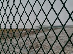 -芦潮港集贸市场