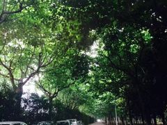 -上海第二工业大学(金海路校区)
