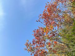 -湘村小灶·地道长沙菜·本地人优选(万家丽路店)
