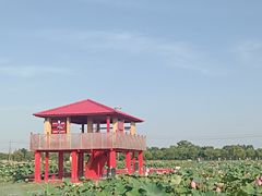 -嘉北郊野公园
